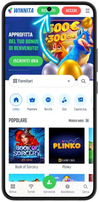 Winnita pulsante di registrazione