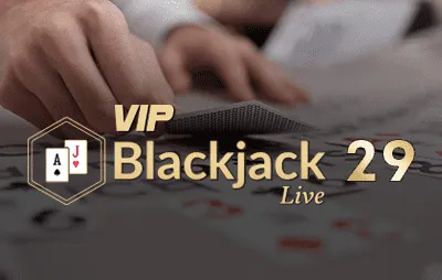 Winnita Blackjack VIP 29
